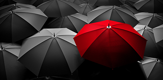 Brand Strategy | Brand Management | Rebranding | Maximizing brand equity